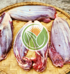 Bắp bò hoa