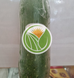 bí xanh hữu cơ