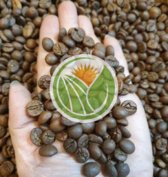 Cà phê nguyên chất Robusta