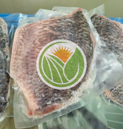 Cá rô phi hàng bản tự nhiên phi lê