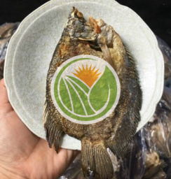 Khô cá sặc bổi