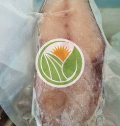Cá thu khúc giữa cắt lát 1 nắng