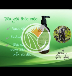 Dầu gội đầu thảo mộc (đánh bay gàu và nấm da dầu)