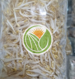 giá đỗ