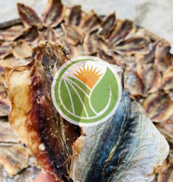 Khô cá nục huế