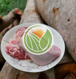 Lưỡi heo tộc