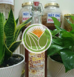 mật ong ruồi 1l