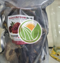 Nấm lim xanh rừng quảng nam (loại 1)