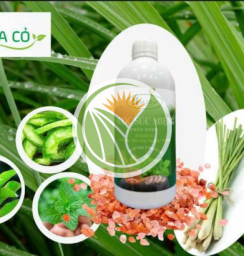 Nước súc miệng thảo mộc 100% tự nhiên