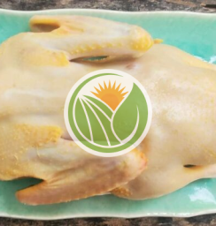 Vịt xiêm hàng bản