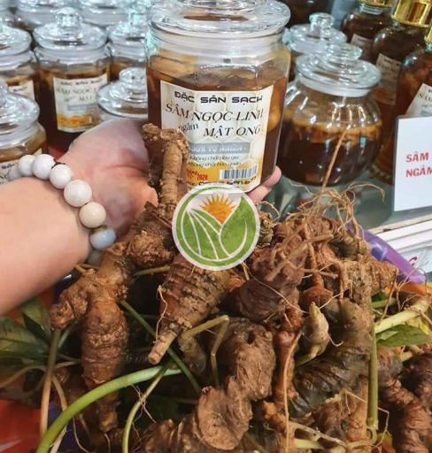 Sâm ngọc linh trồng ngâm mật ong ruồi 380ml