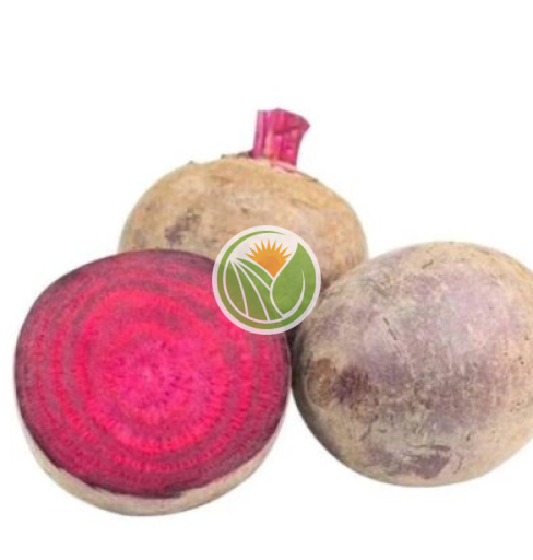 củ dền hữu cơ