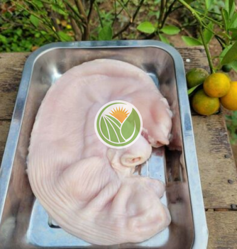 Bao tử heo