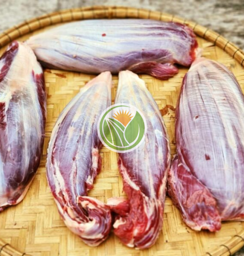 Bắp bò hoa