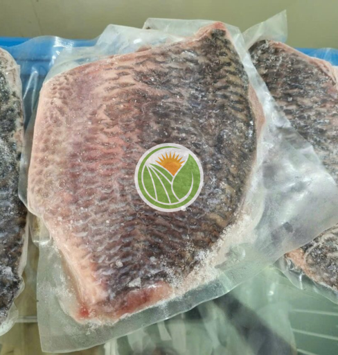Cá rô phi hàng bản tự nhiên phi lê