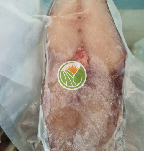 Cá thu khúc giữa cắt lát 1 nắng