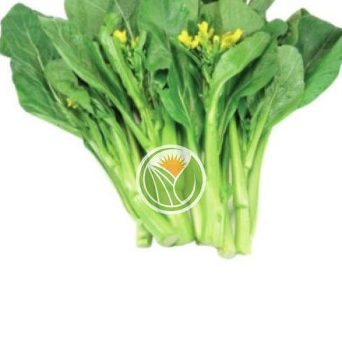 rau cải ngồng hữu cơ