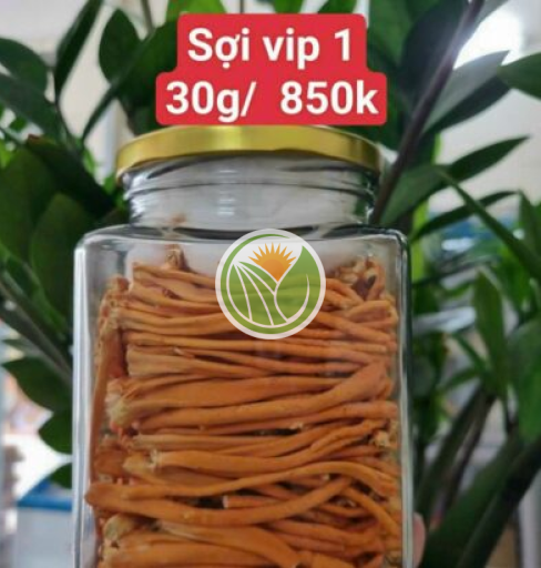 Đông trùng cấy việt nam sấy thăng hoa (Loại 1)