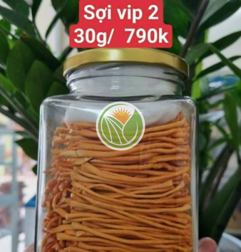 Đông trùng cấy việt nam sấy thăng hoa (Loại 2)