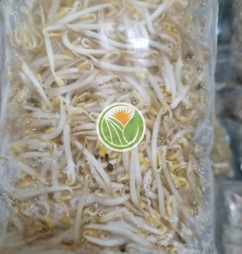 giá đỗ