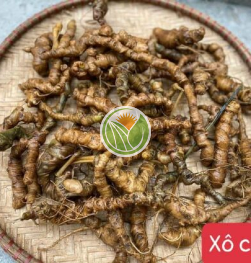 tam thất rừng (hàng xô)