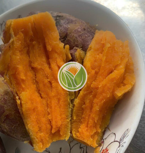 khoai lang mật chuẩn Tà Nung