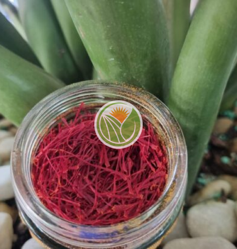nhụy hoa nghệ tây 100gr