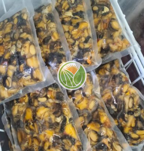 Ốc bươu đồng hàng bản