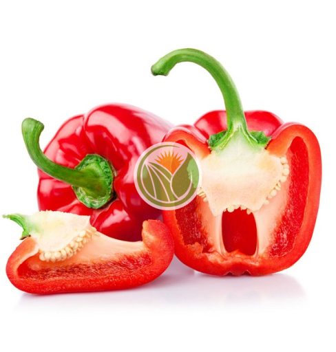 ớt chuông đỏ hữu cơ