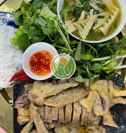Vịt cỏ hữu cơ
