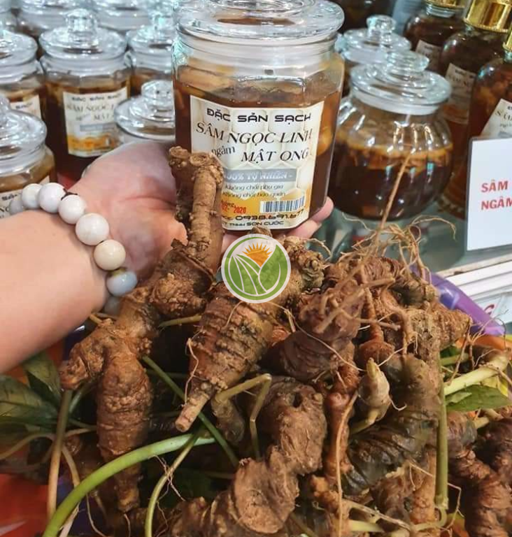 Sâm ngọc linh trồng ngâm mật ong ruồi 380ml
