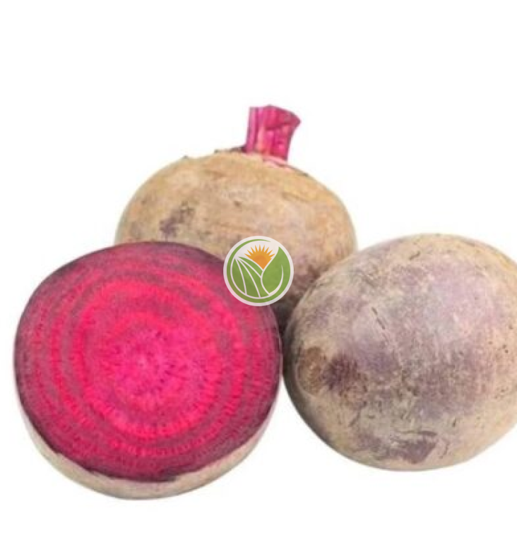 củ dền hữu cơ