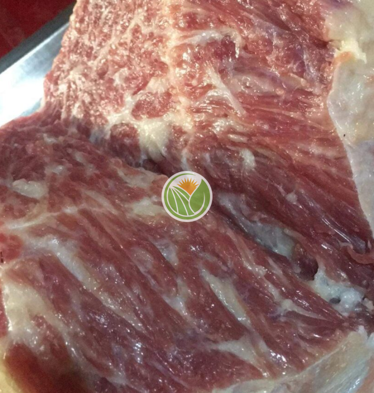 Gù bò cỏ hàng bản