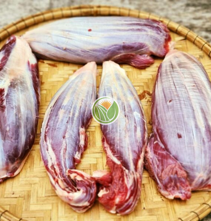 Bắp bò hoa