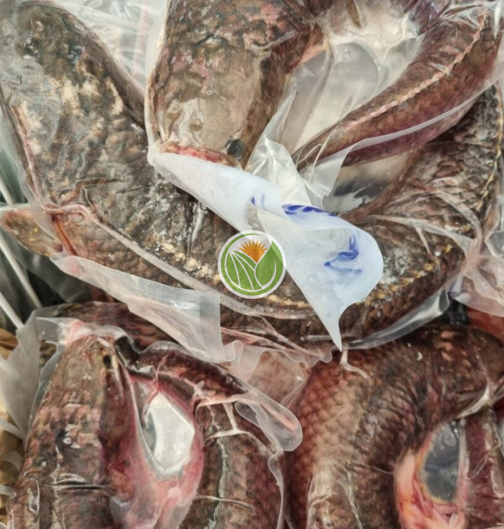 Cá lóc suối hàng bản tự nhiên