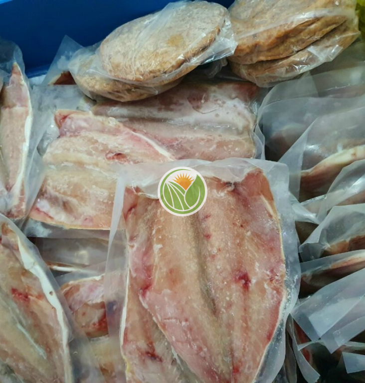 Cá đù phile 1 nắng