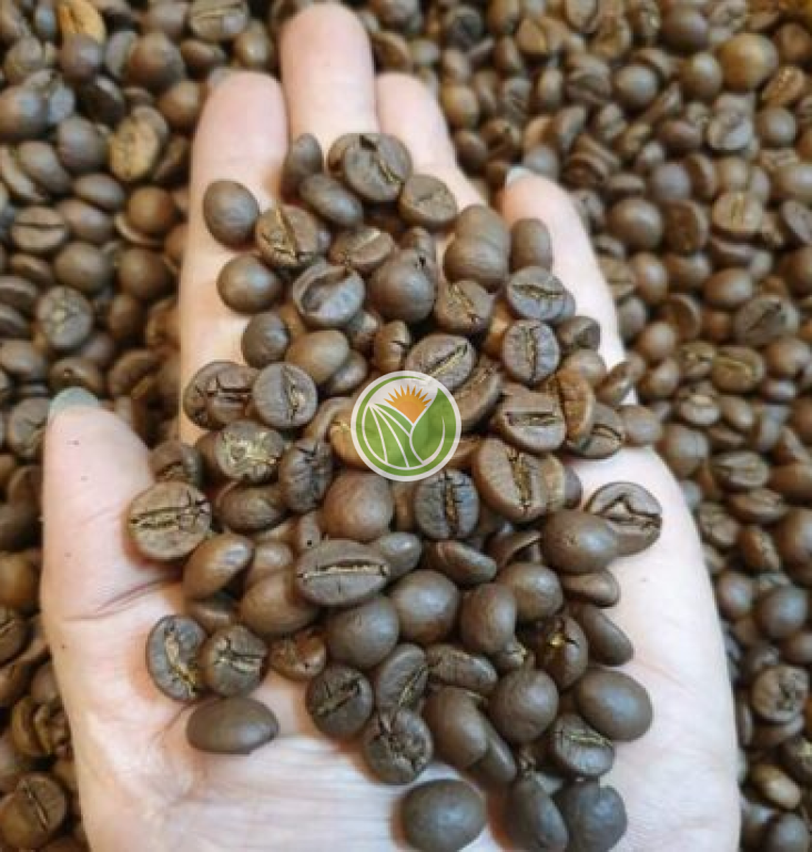 Cà phê nguyên chất Robusta