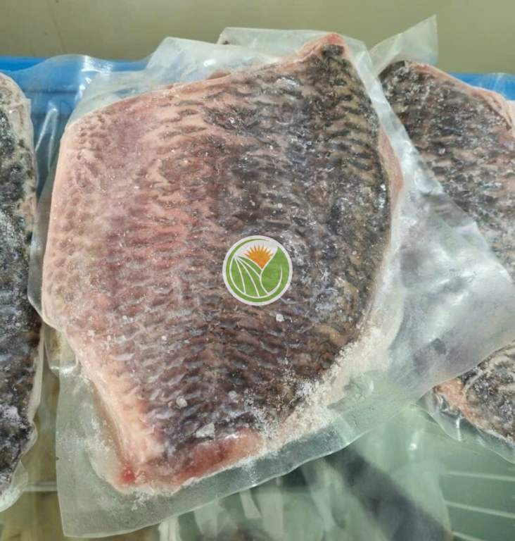 Cá rô phi hàng bản tự nhiên phi lê