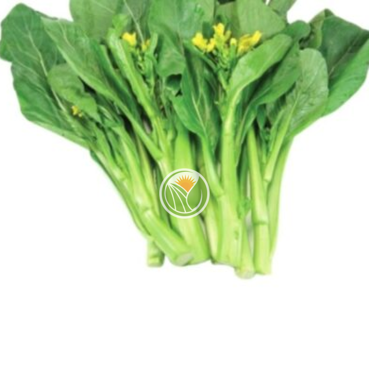 rau cải ngồng hữu cơ