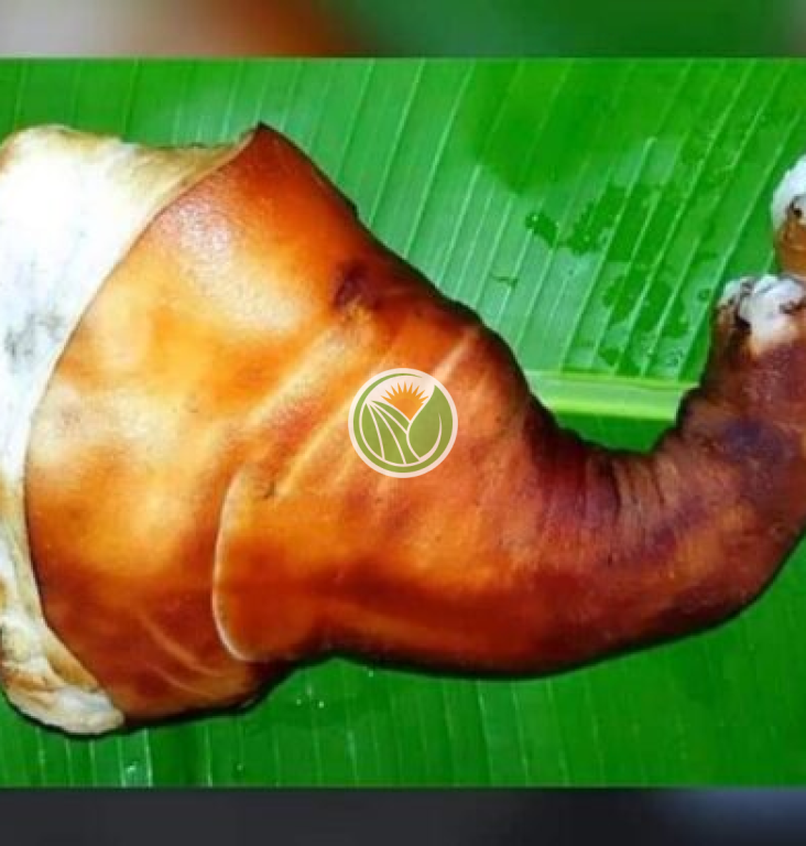 Chân giò heo tộc thui giả cầy