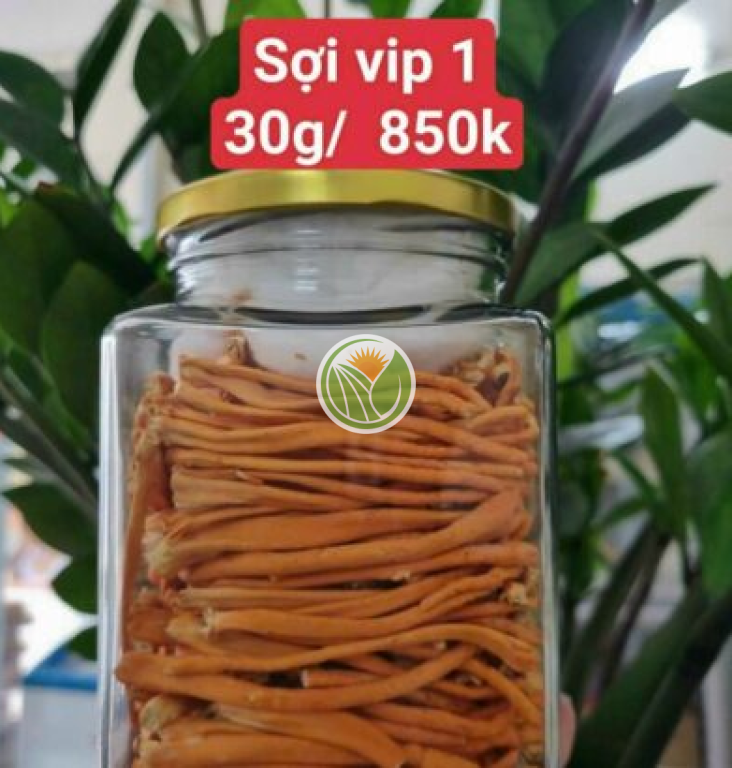 Đông trùng cấy việt nam sấy thăng hoa (Loại 1)