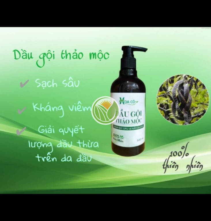 Dầu gội đầu thảo mộc (đánh bay gàu và nấm da dầu)