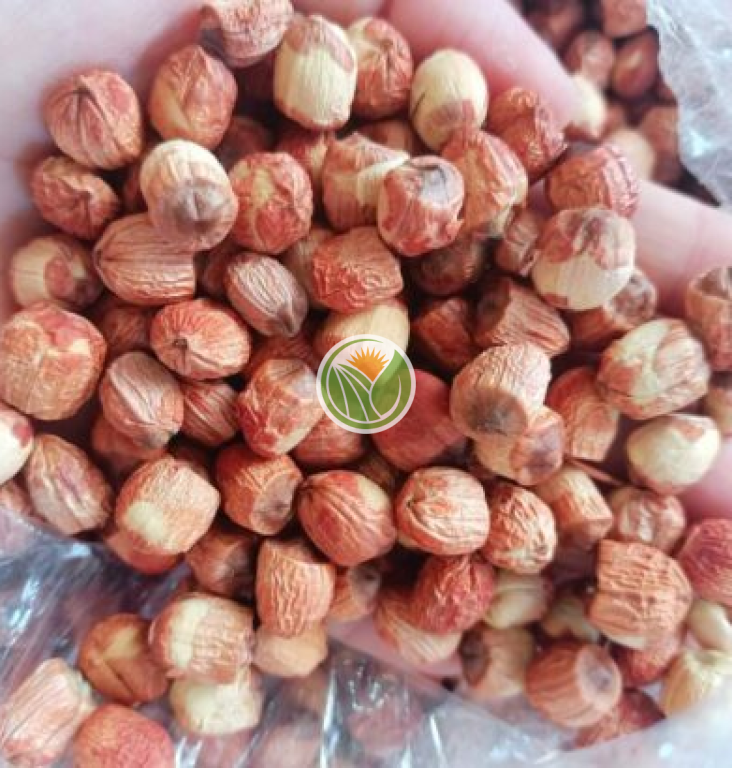 Hạt sen tím khô