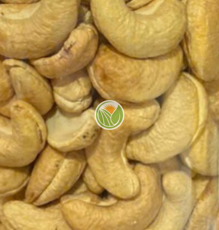 Hạt điều không vỏ (Bình Phước)