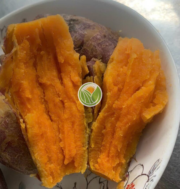 khoai lang mật chuẩn Tà Nung