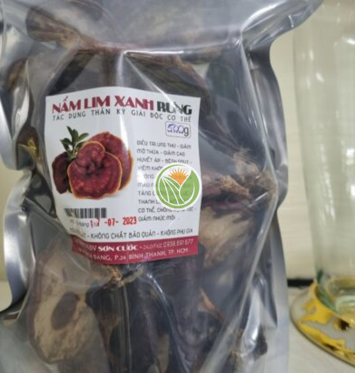 Nấm lim xanh rừng quảng nam (loại 1)