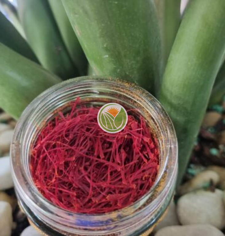 nhụy hoa nghệ tây 50gr