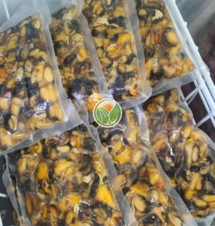Ốc bươu đồng hàng bản