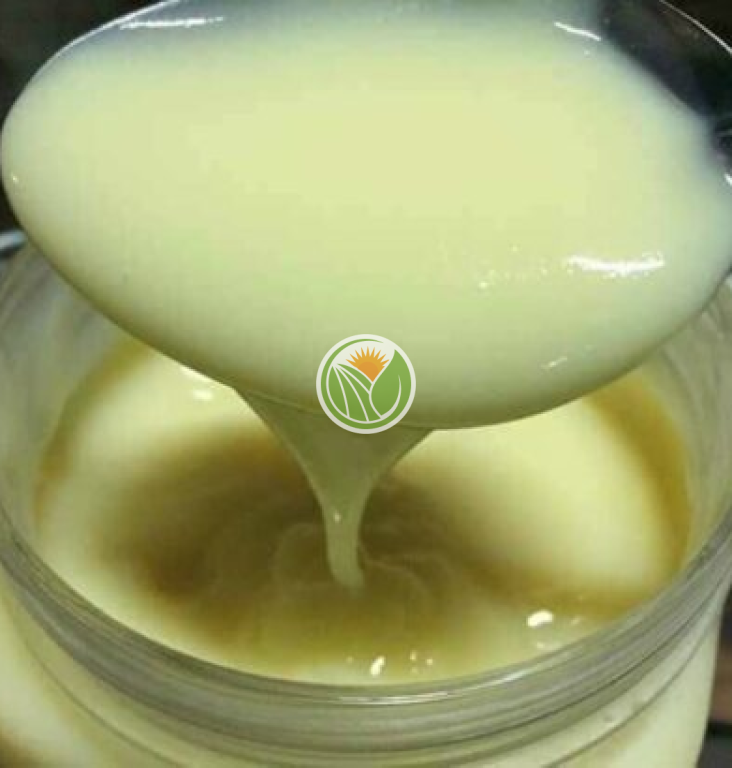 sữa ong chúa tươi 500gr
